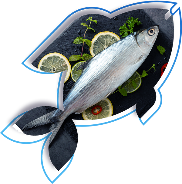 Fisf